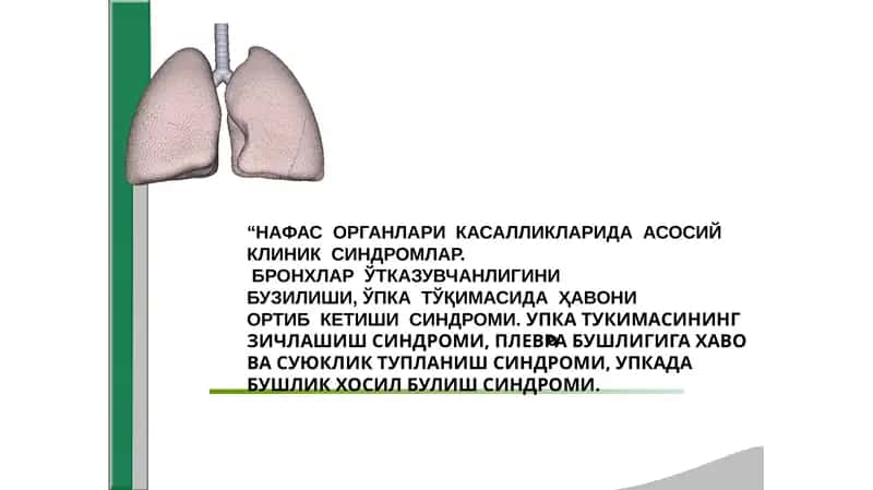 Нафас  системаси  касалликларидаги  асосий  клиник  синдромлар 1