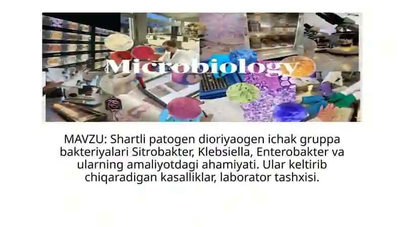 Shartli patogen dioriyaogen ichak gruppa bakteriyalari Sitrobakter, Klebsiella, Enterobakter