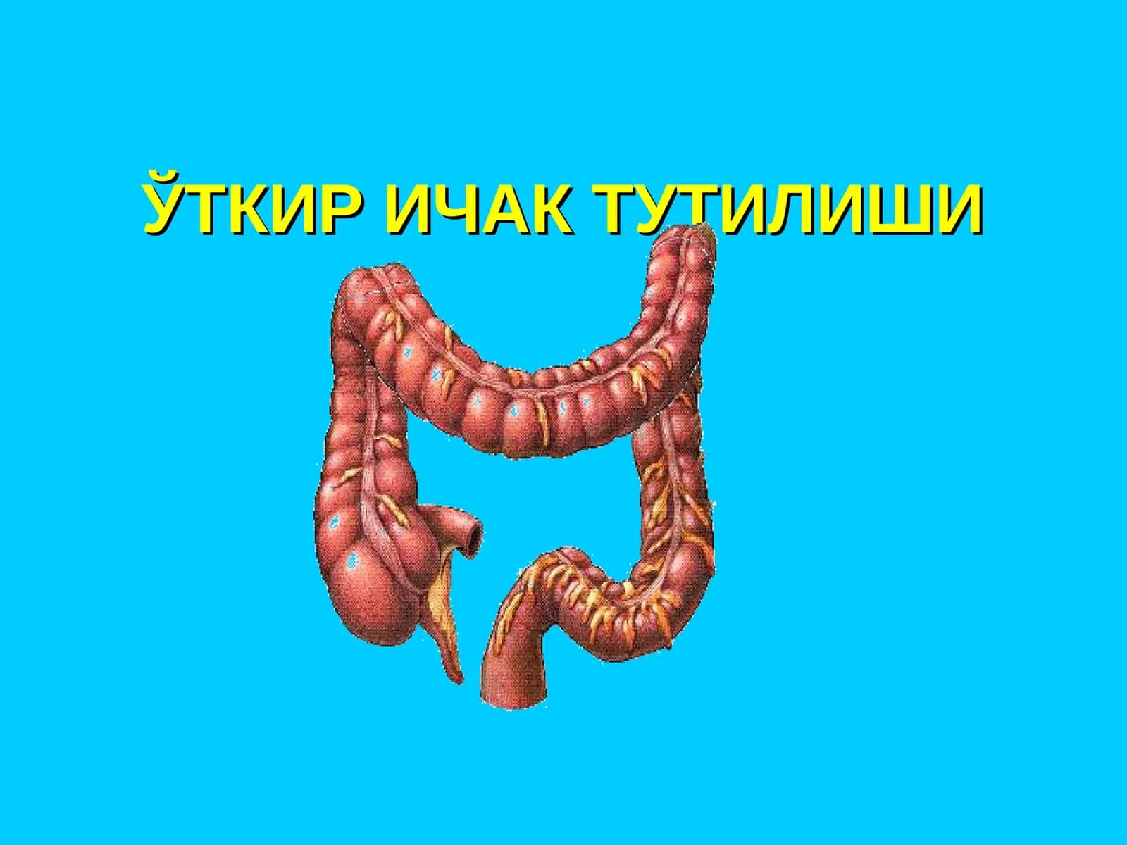ЎТКИР ИЧАК ТУТИЛИШИ 1