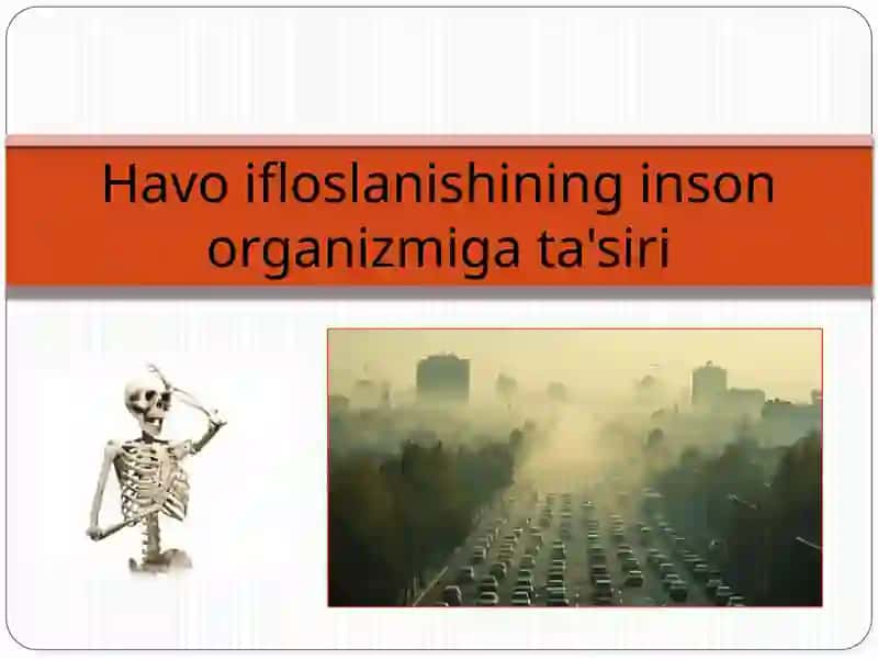 Havo ifloslanishining inson organizmiga ta'siri