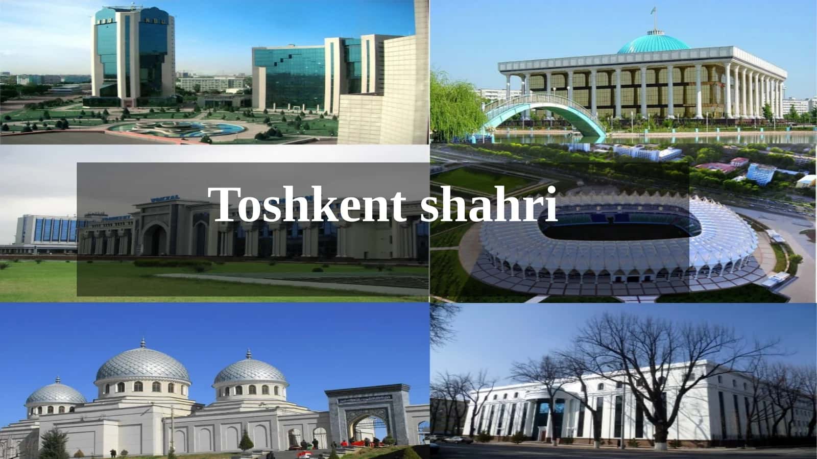 Toshkent shahri 1