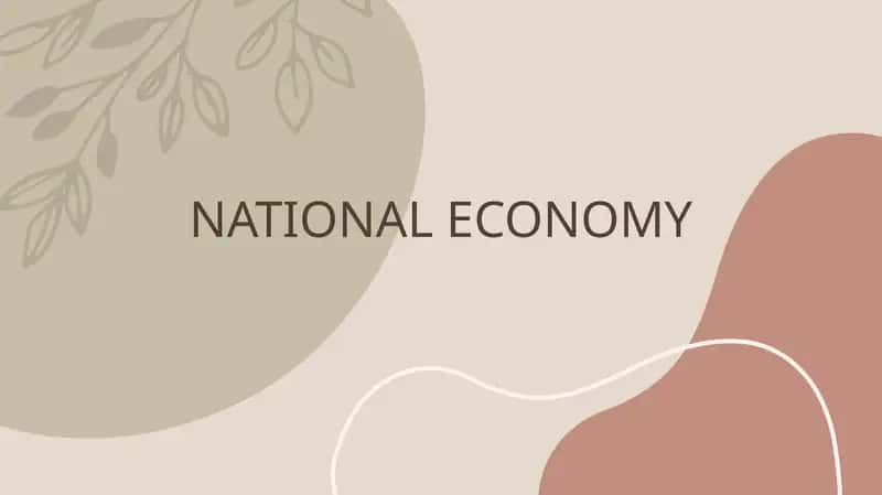 NATIONAL ECONOMY 1