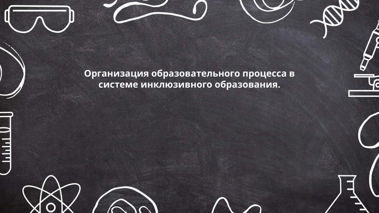Организация образовательного процесса в системе инклюзивного образования 1