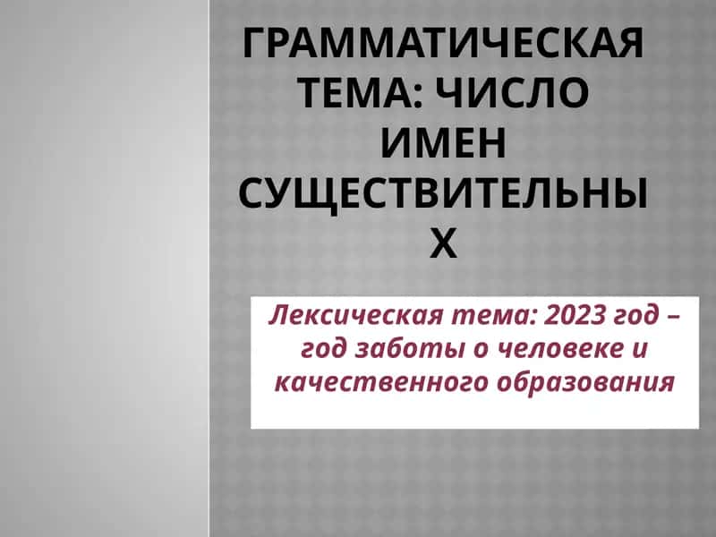 Число имен существительных-2023 год – год заботы о человеке и качественного образования 1