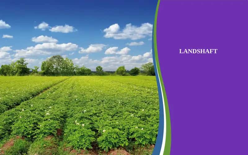 LANDSHAFT 1