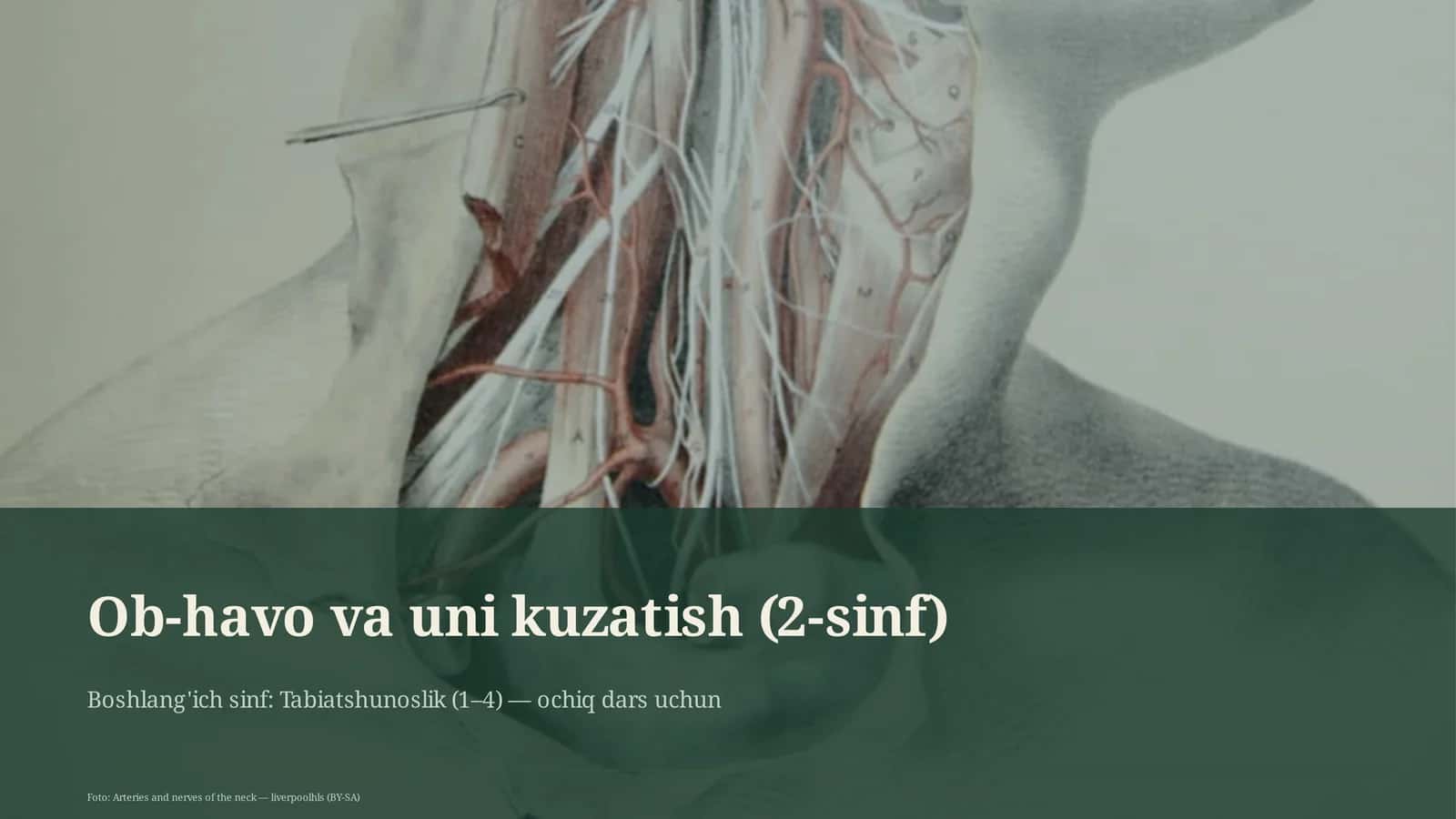 Ob-havo va uni kuzatish (2-sinf) 1