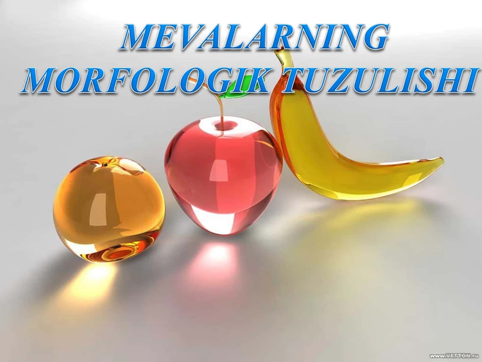 Mevalarning morfologik tuzilishi 1