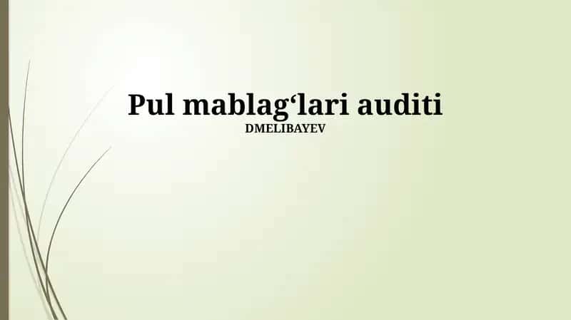 Pul mablagʻlari auditi 1