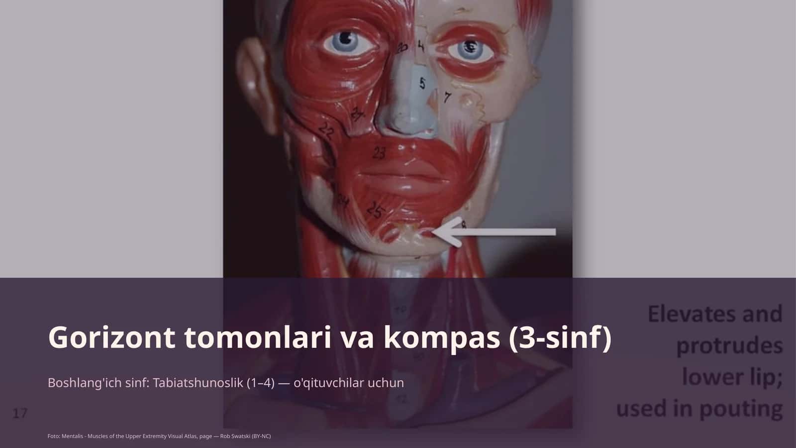 Gorizont tomonlari va kompas (3-sinf) 1