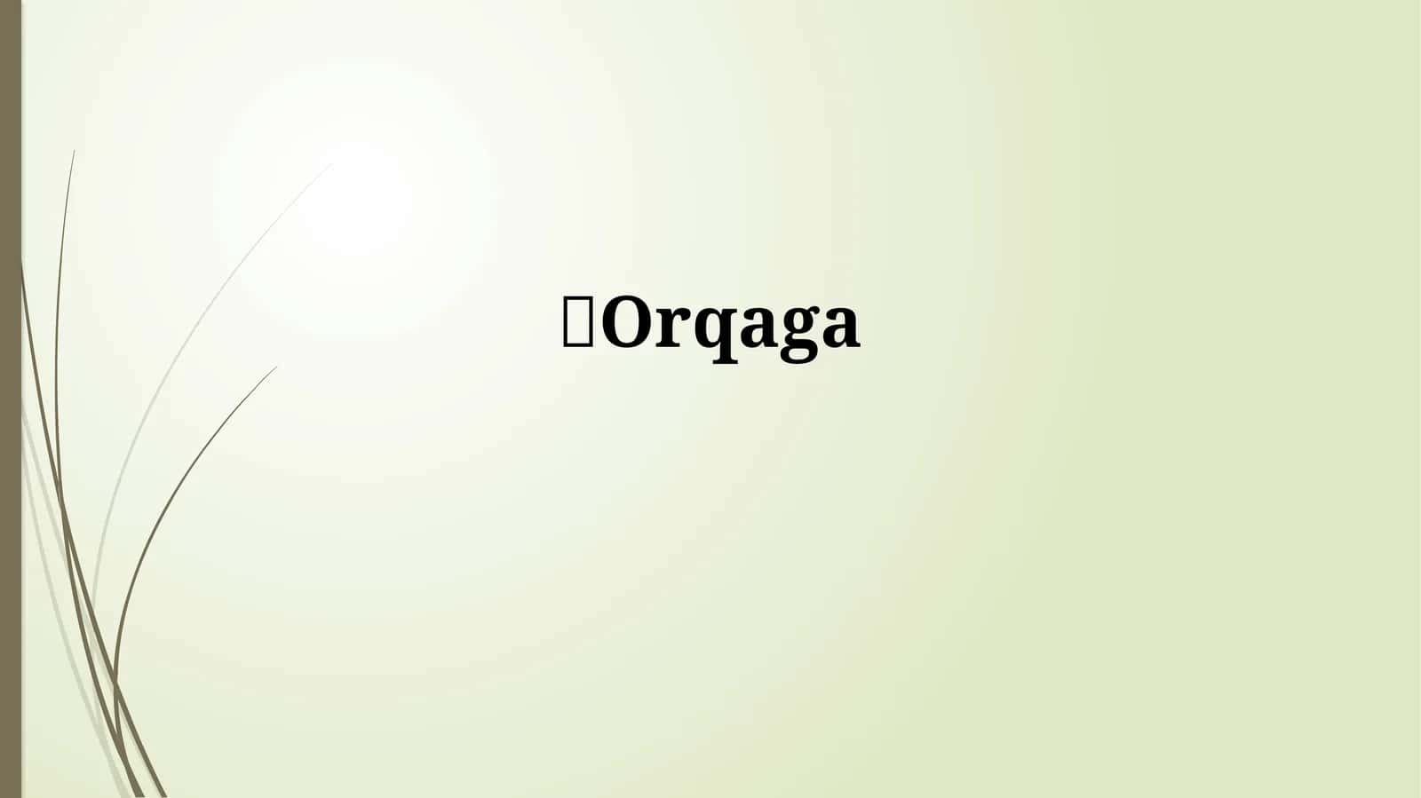 Orqaga tushunchasi 1