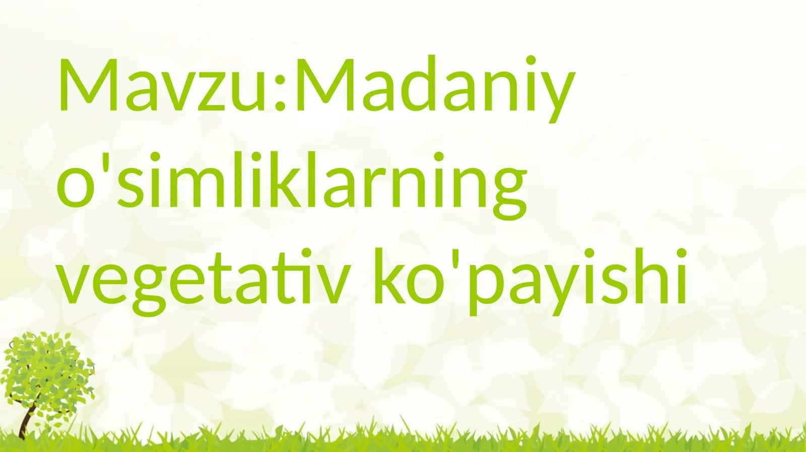 Madaniy o'simliklarning vegetativ ko'payishi 1