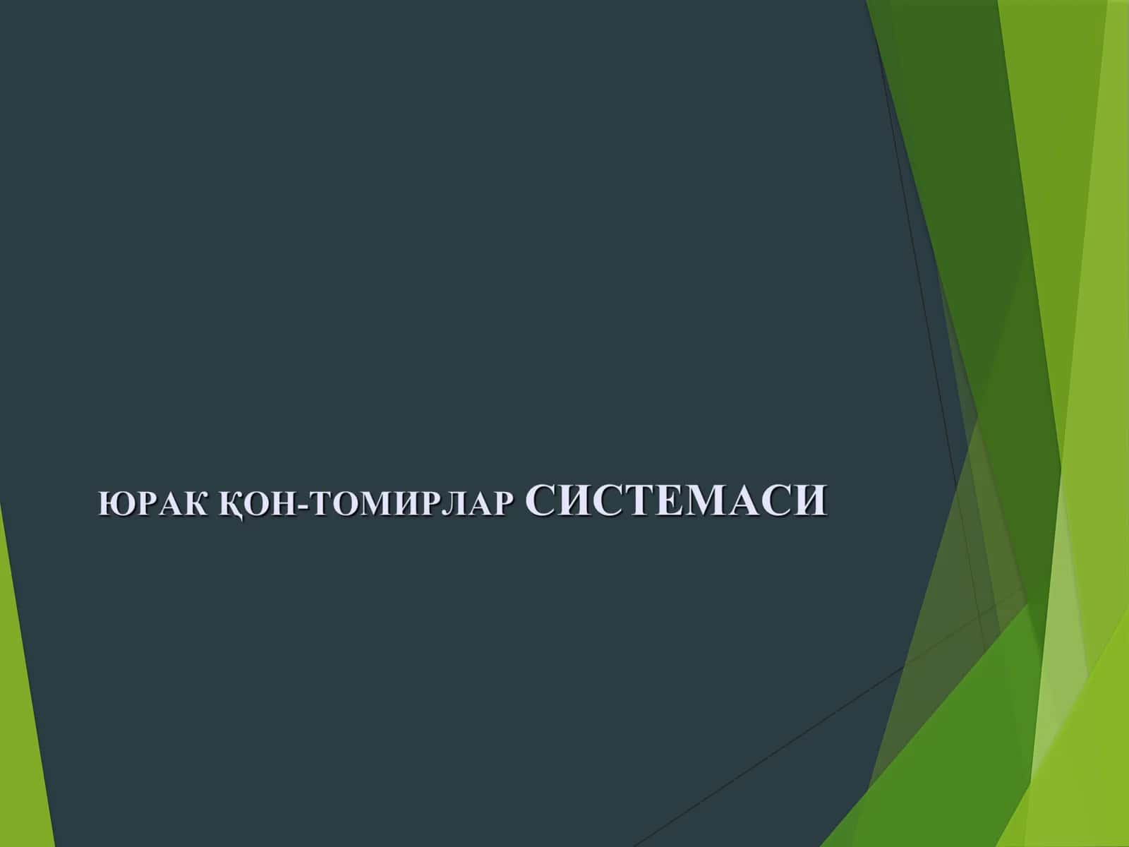 ЮРАК ҚОН-ТОМИРЛАР СИСТЕМАСИ 1