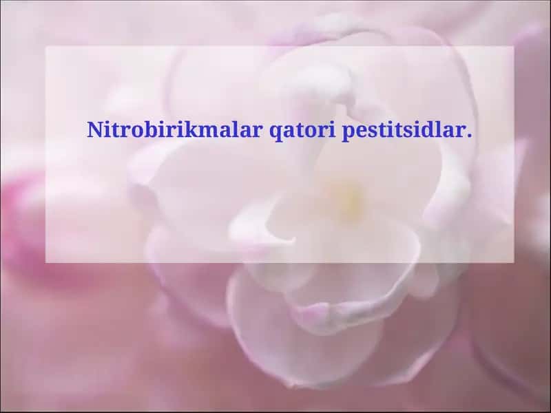 Alifatik nitrobirikmalar 1