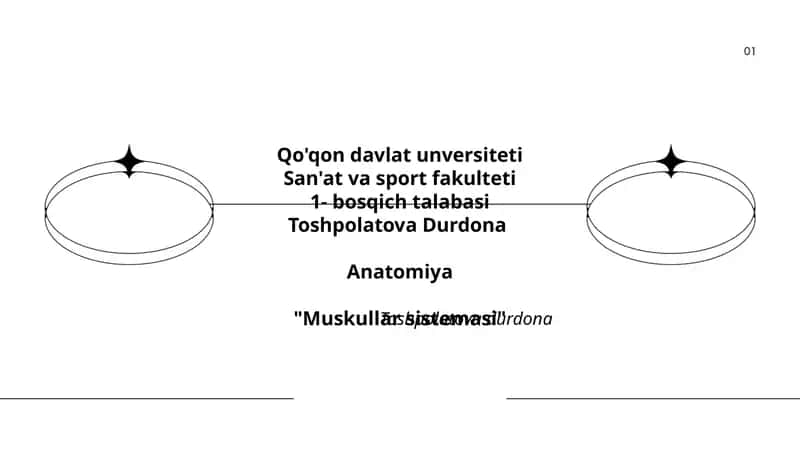Muskullar sistemasi 1