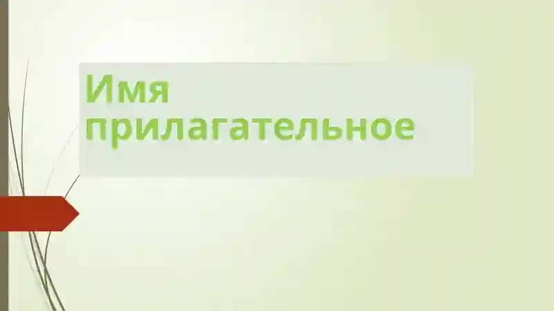 Имя прилагательное