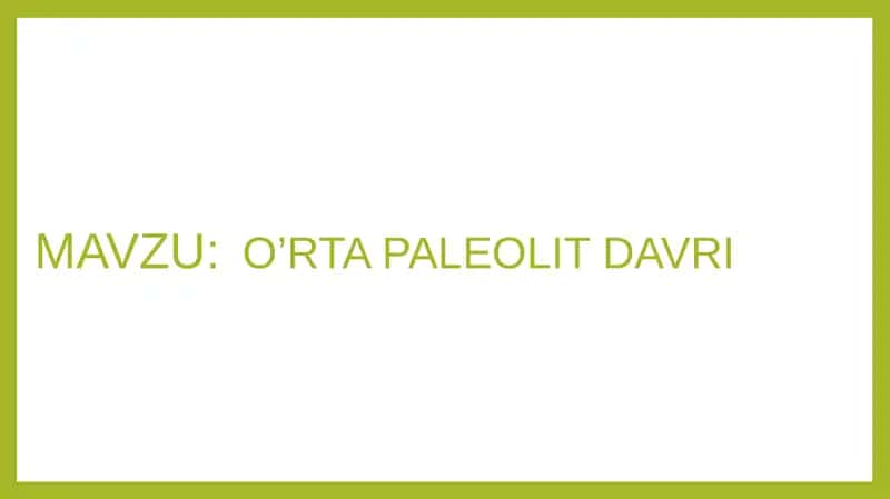 O’rtapaleolit davri 1