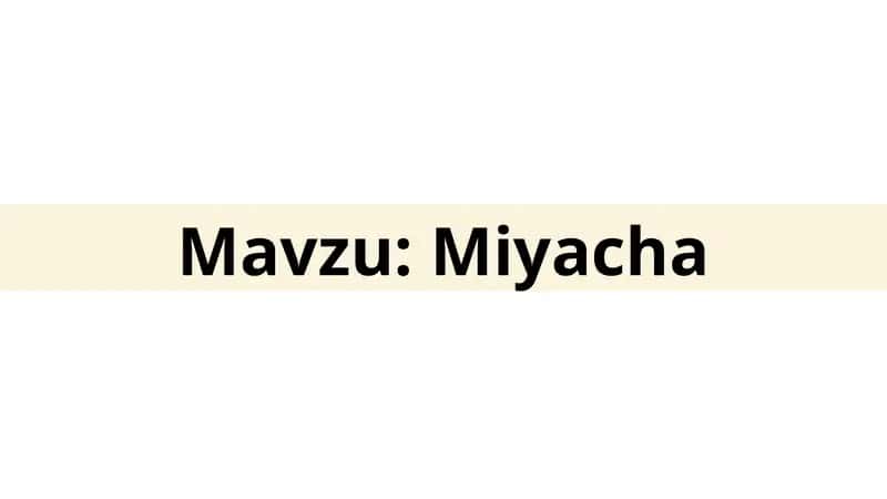 Miyacha taqdimot 1