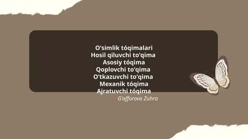 Oʻsimlik Tóqimalari 1