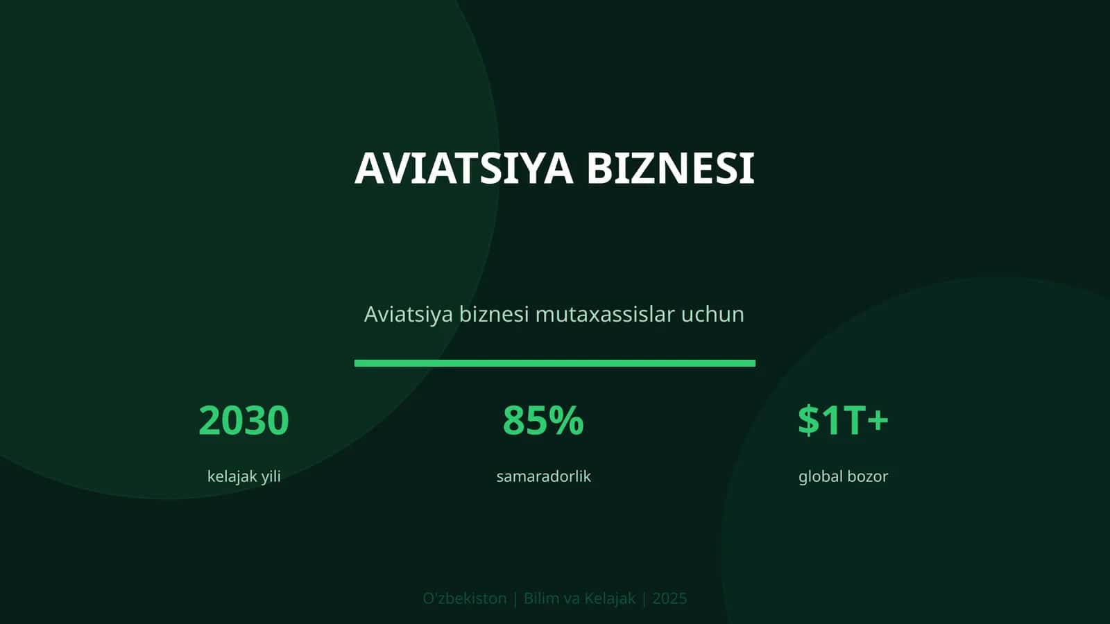 AVIATSIYA BIZNESI 1