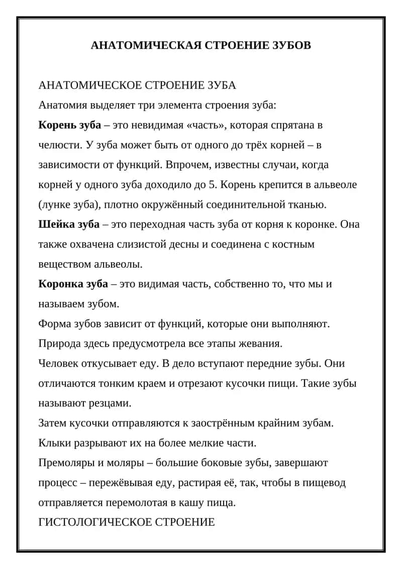 АНАТОМИЧЕСКОЕ СТРОЕНИЕ ЗУБОВ 1