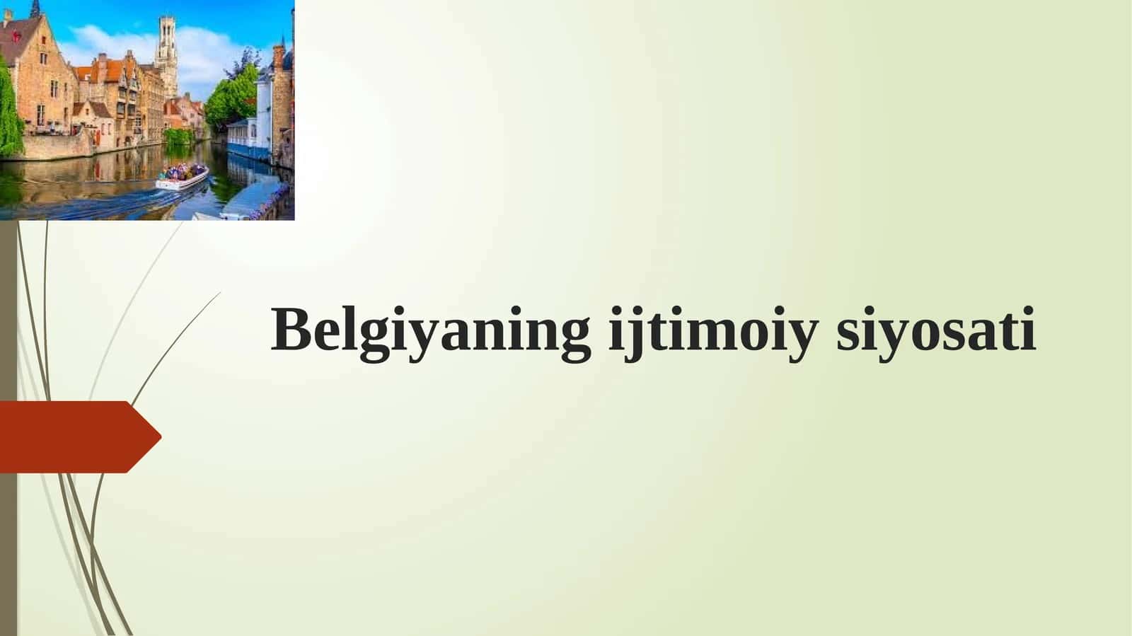 Belgiyaning ijtimoiy siyosati 1