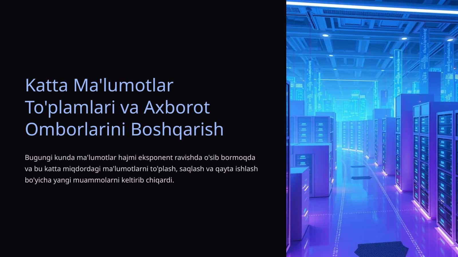 Katta Ma'lumotlar To'plamlari va Axborot Omborlarini Boshqarish 1