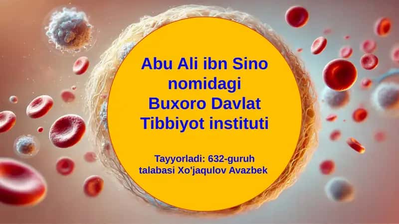 Ichki Muhitning Barqarorligi 1
