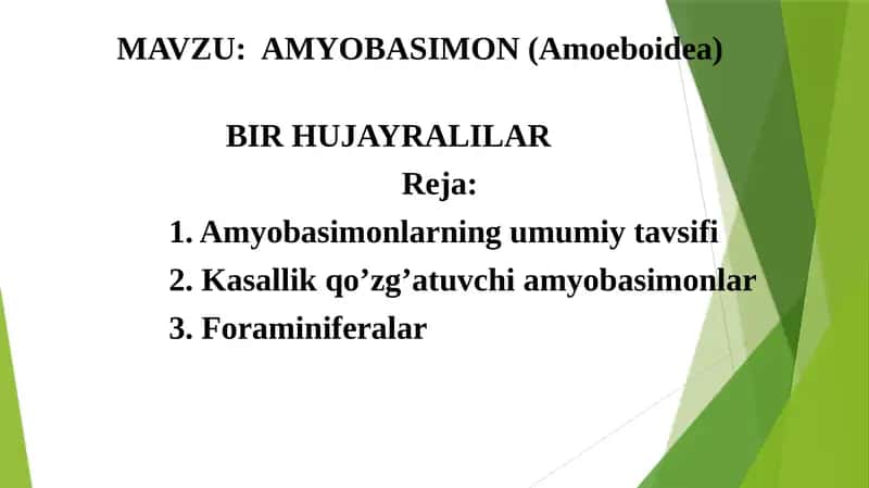Amyobasimon (Amoeboidea) 1