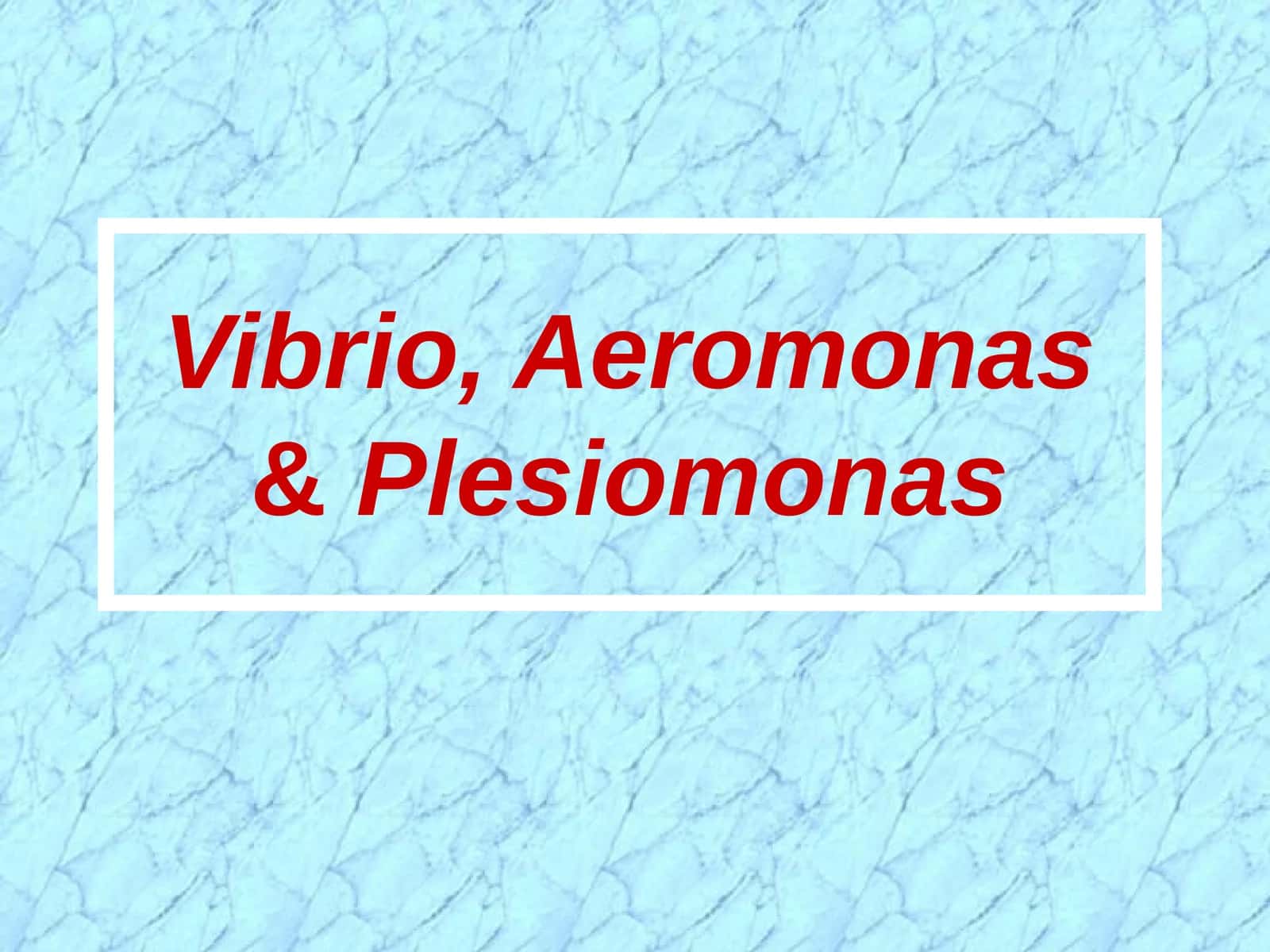 Vibrio, Aeromonas&Plesiomonas 1