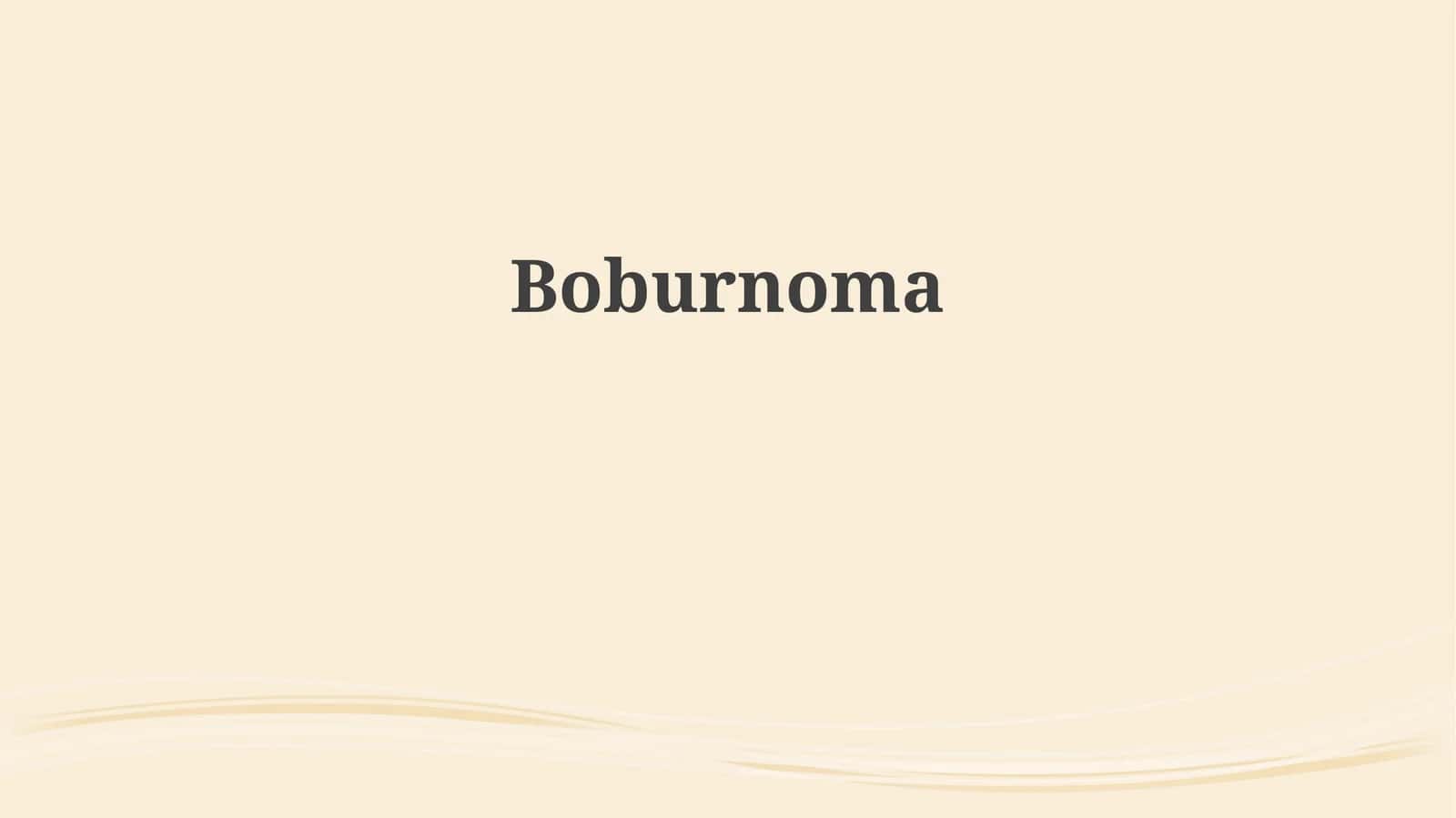 Boburnoma 1