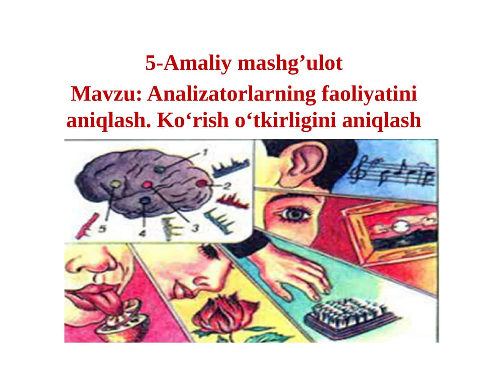 Analizatorlarning faoliyatinianiqlash. Ko‘rish o‘tkirliginianiqlash 1