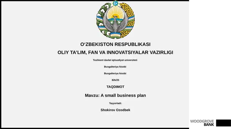 A small business plan 1