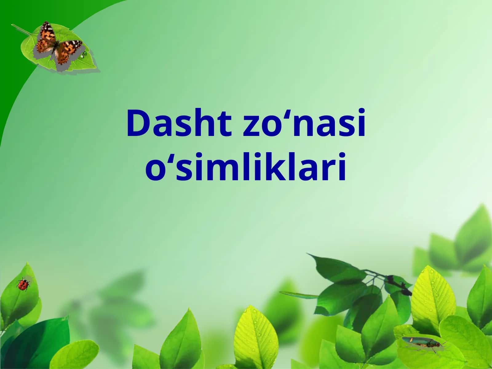 Dasht zoʻnasi oʻsimliklari 1