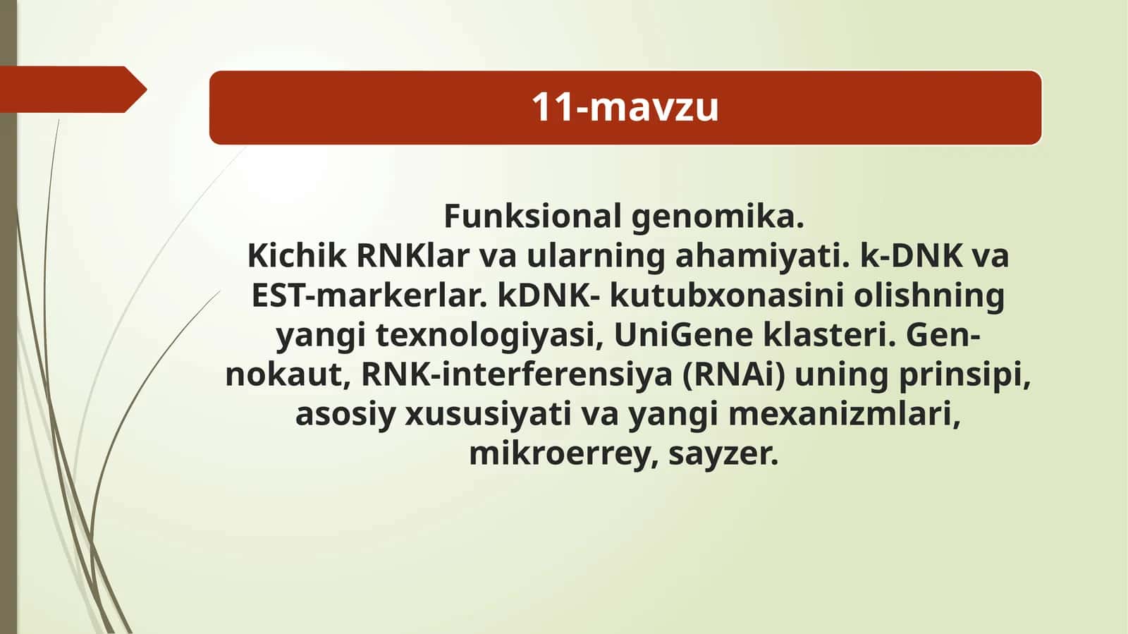 Funksional genomika 1