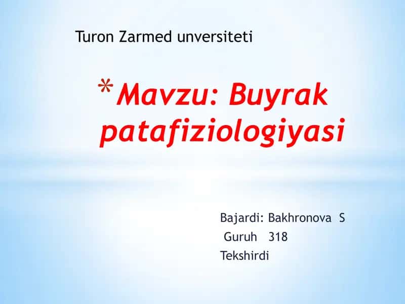 Buyrak 1