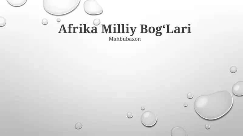 Afrika Milliy Bog‘Lari 1