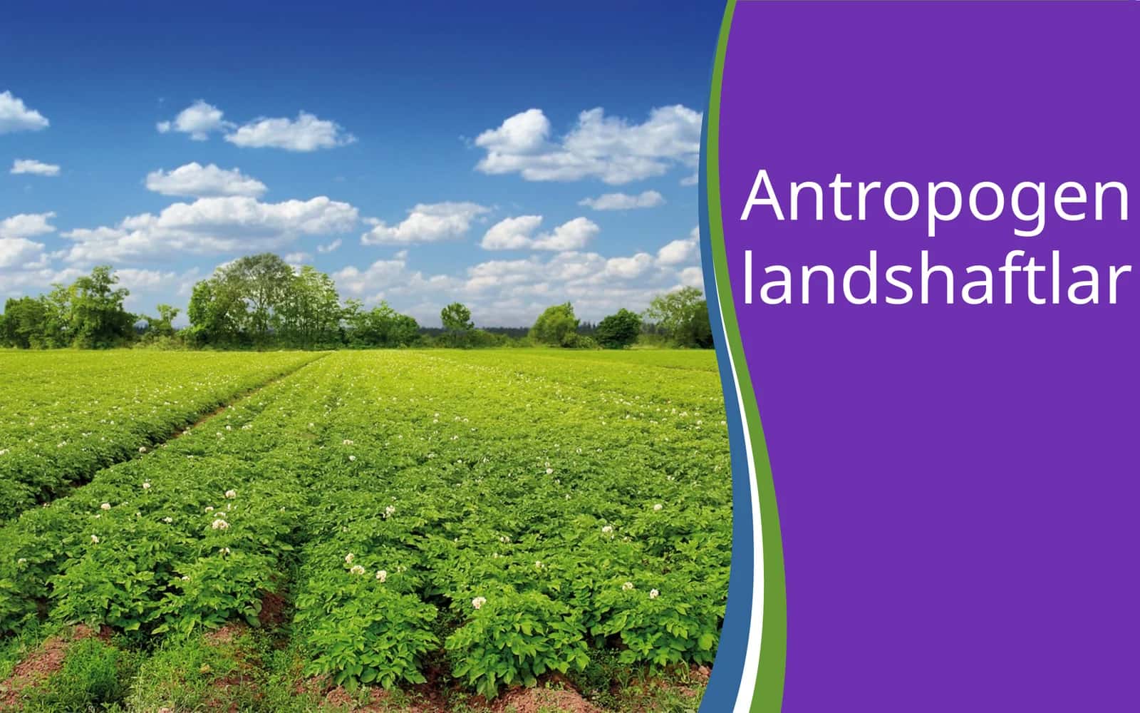 Antropogen landshaftlar 1