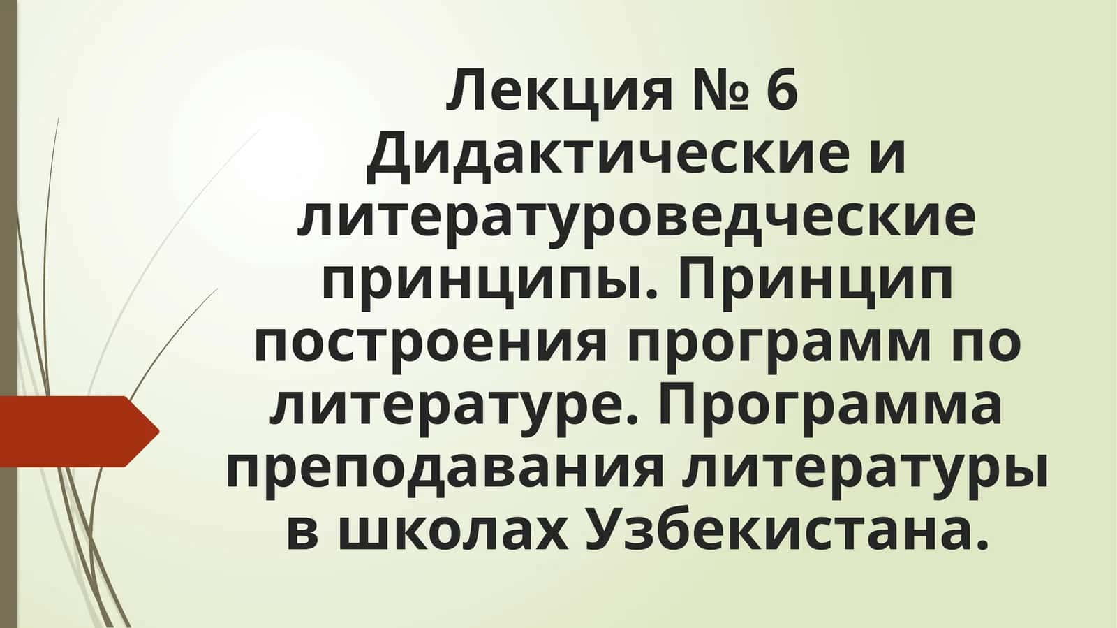 Программа преподавания литературы в школах Узбекистана 1