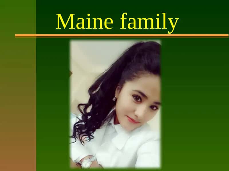 Maine family 1