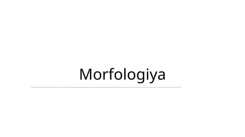 Morfologiya 1