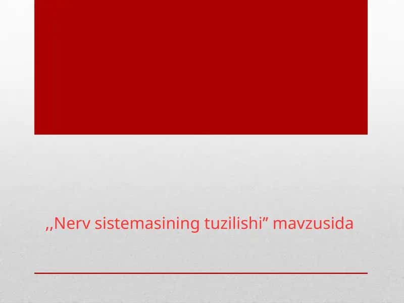 Nerv sistemasi 1