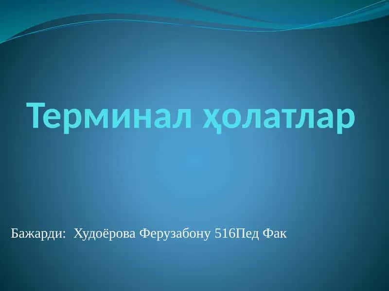 Terminal holatlar 1