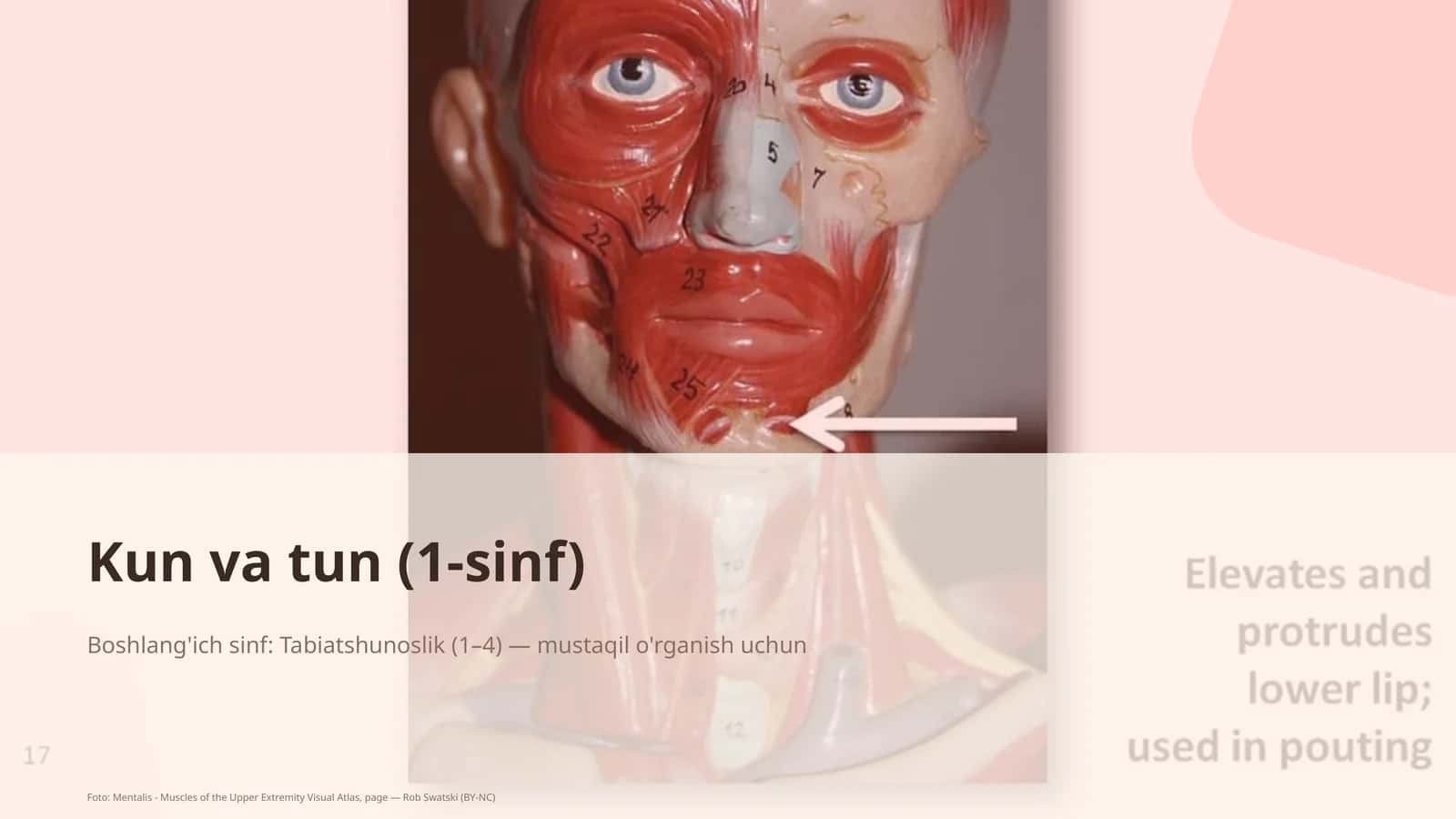 Kun va tun (1-sinf) 1
