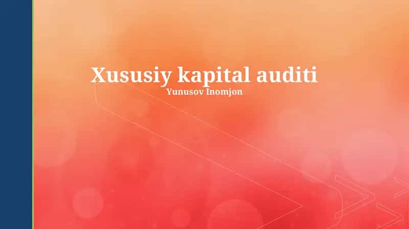 Xususiy kapital auditi 1