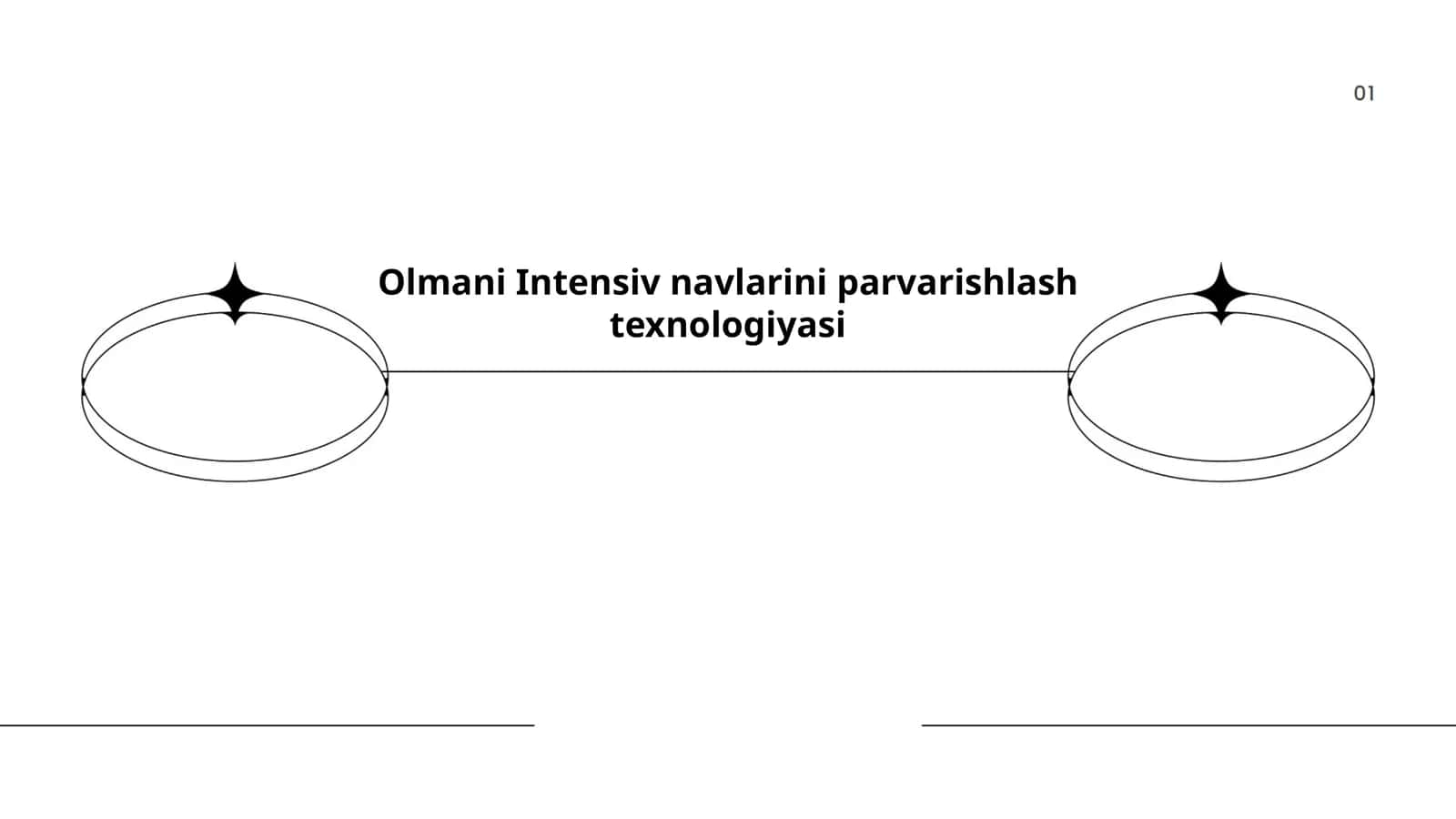 Olmani Intensiv navlarini parvarishlash texnologiyasi 1