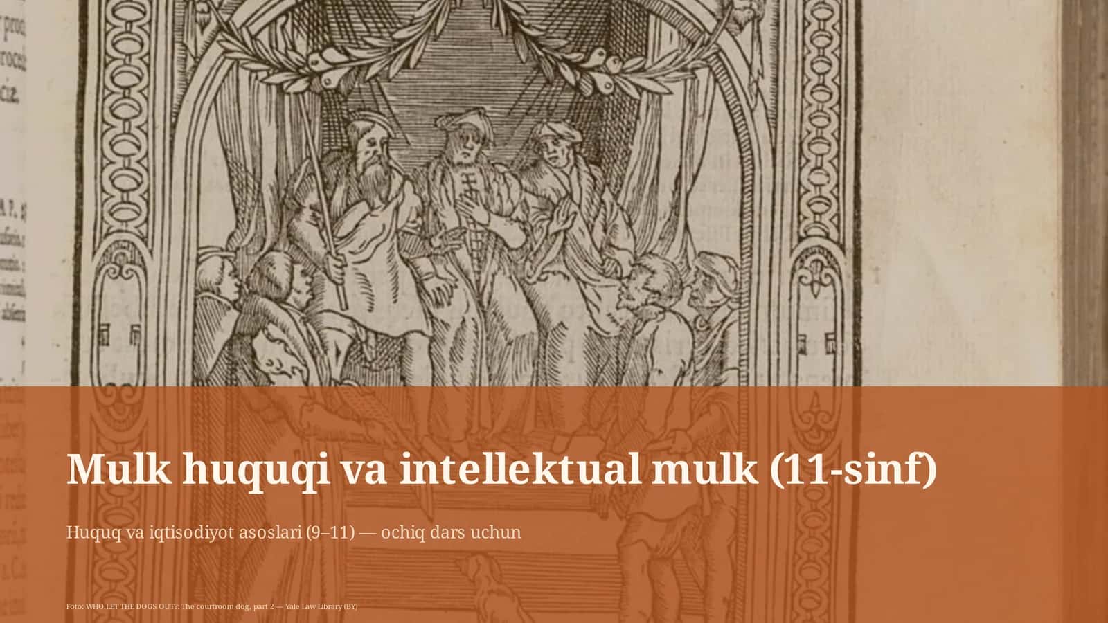 Mulk huquqi va intellektual mulk (11-sinf) 1