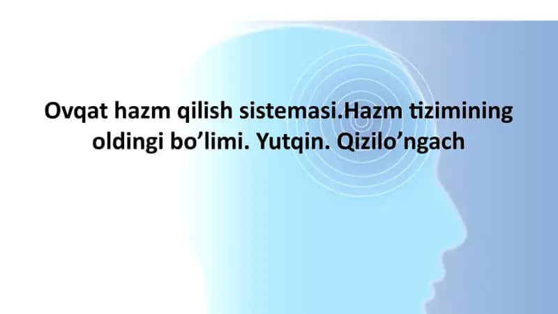 Hazm Sistemasi 1