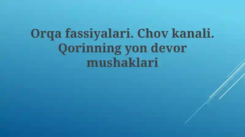 Femoral fastsiyasi, chov kanali va qorinning lateral devori: Anatomik tuzilish va funktsiyalari