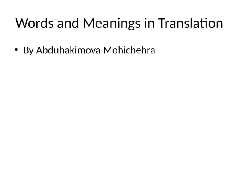 words and meanings in translation PPT 1