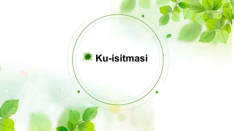 🦠 Ku-isitmasi 1